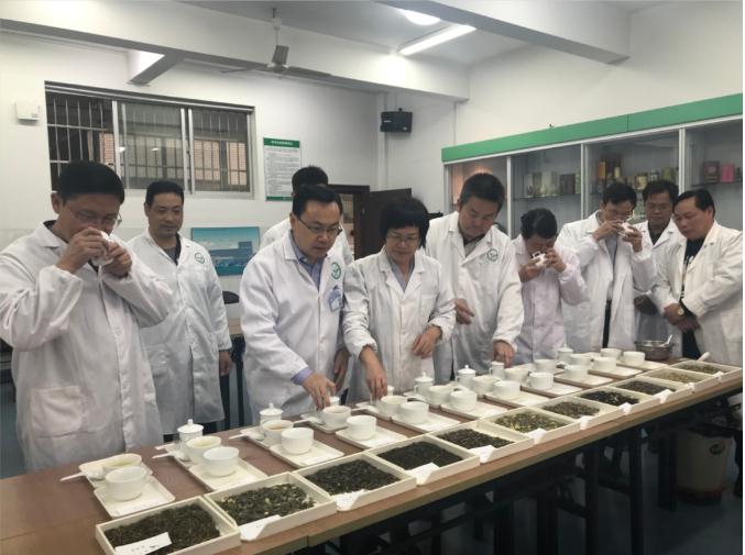 瀟湘茶業(yè)開展花茶審評和座談會，劉仲華院士等專家共謀花茶產業(yè)發(fā)展