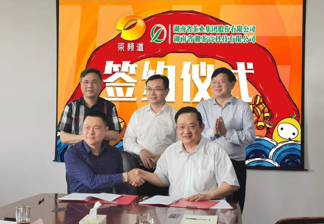 院士見證，輕輕茶發(fā)力品牌建設(shè)，與茶頻道達(dá)成深度合作