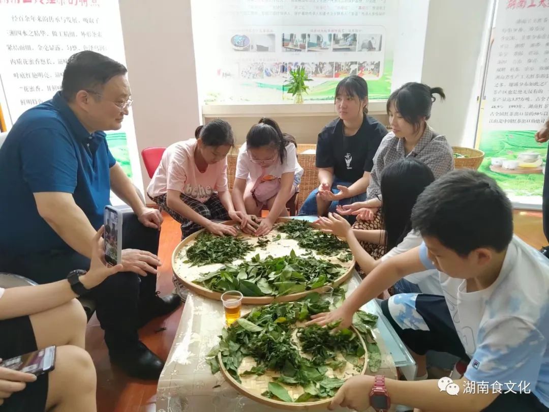 原載人民日報“人民視點”茶葉是怎樣做出來的？湖南大、中、小學(xué)生體驗湖南工夫紅茶制作
